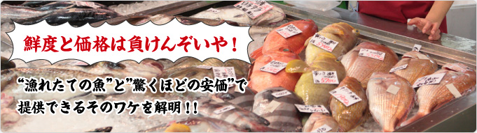 鮮度と価格は負けんぞいや!“漁れたての魚”と”驚くほどの安価”で提供できるそのワケを解明!!