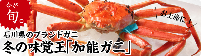 今が旬。石川県のブランドガニ冬の味覚王「加能ガニ」